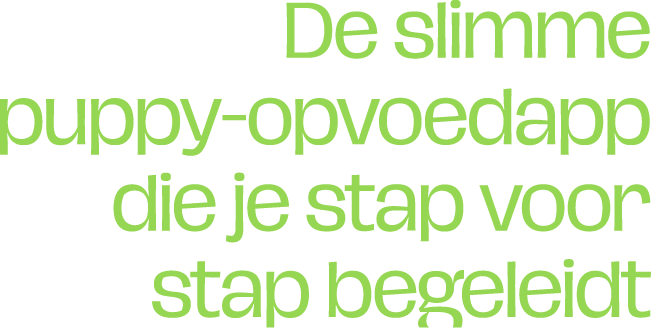 De slimme puppy-opvoedapp die je stap voor stap begeleidt