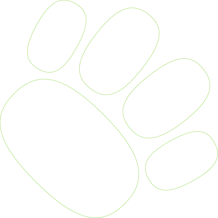 Woofwiz-Paw