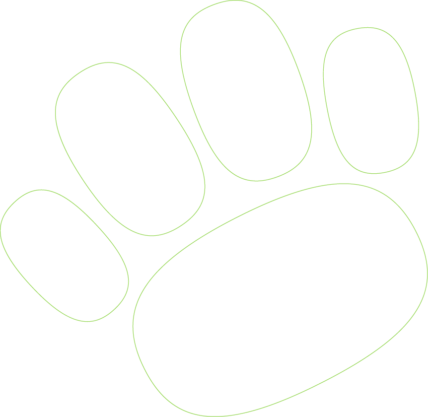 Woofwiz-Paw